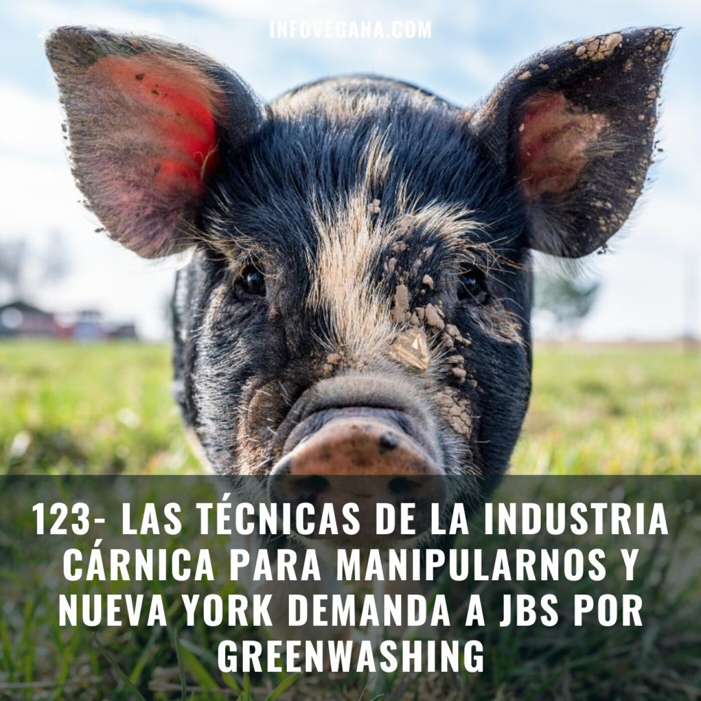 123- LAS TÉCNICAS DE LA INDUSTRIA CÁRNICA PARA MANIPULARNOS Y NUEVA YORK DEMANDA A JBS POR GREENWASHING | iv episode artwork
