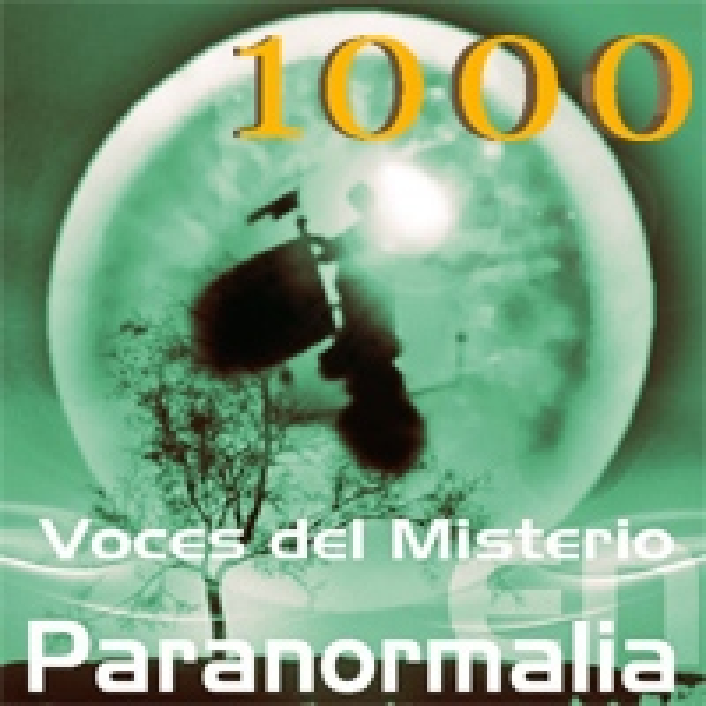 Voces del Misterio en Paranormalia