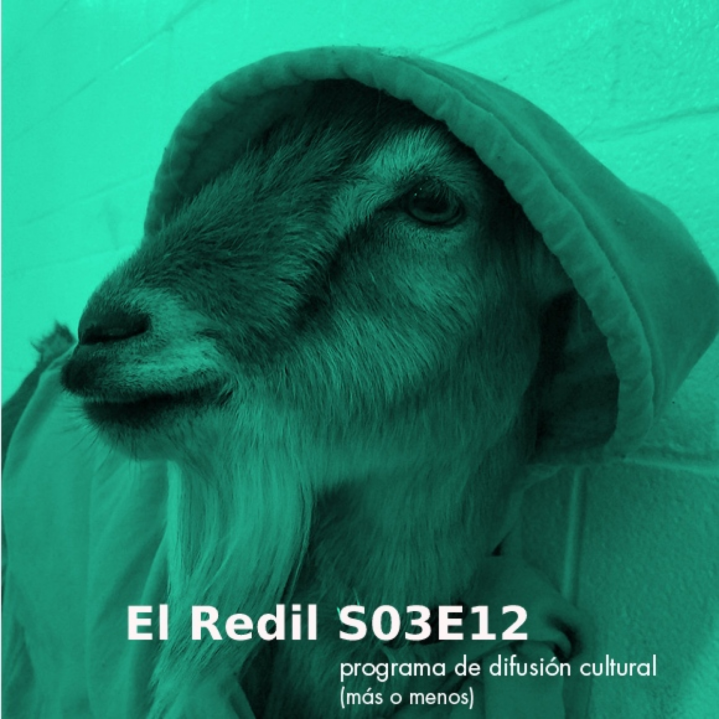 El Redil