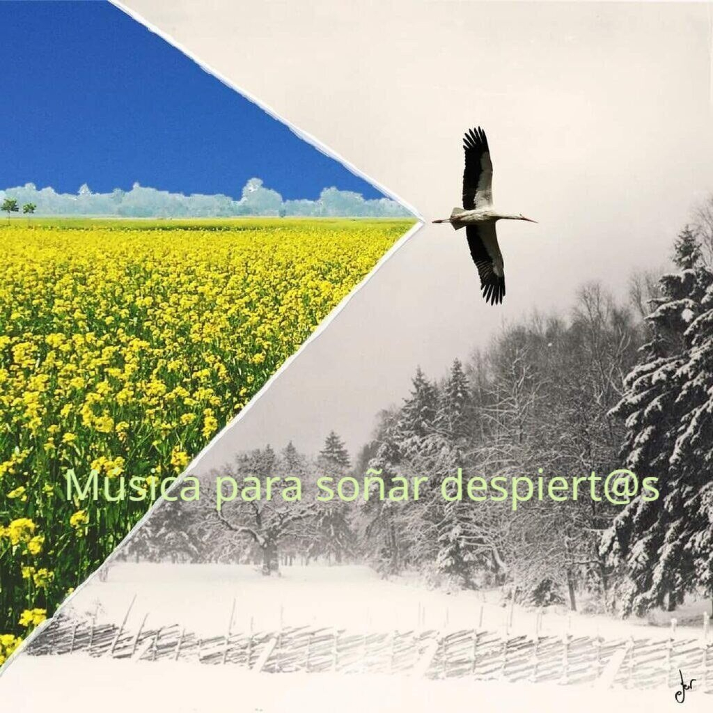 Meditación y relajación