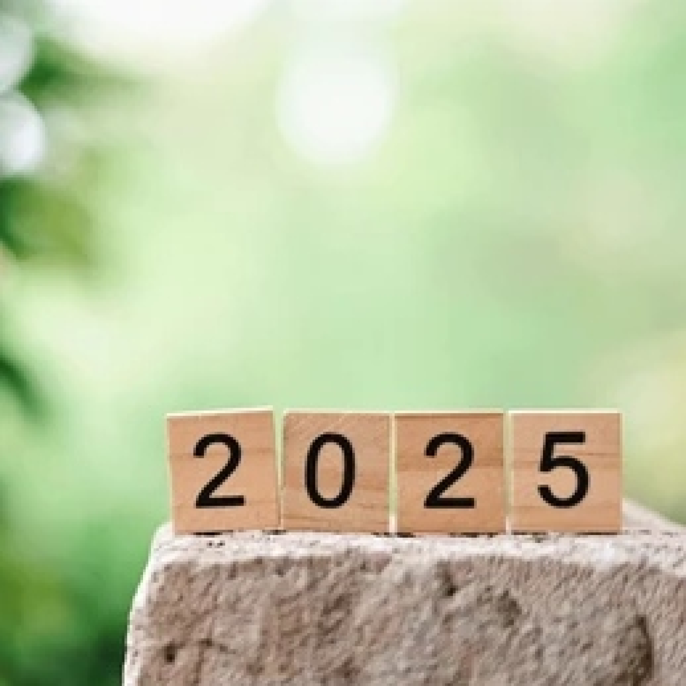 TOLERANCIA ZERO_20251210-CIERRE DE AÑO 2025