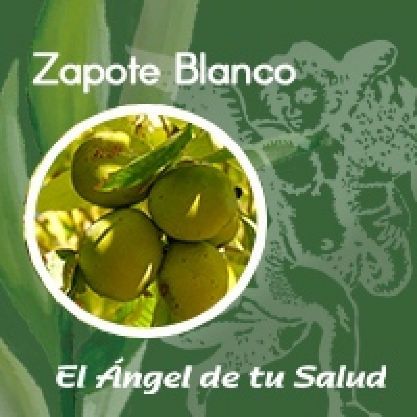 El Ángel de tu Salud - Zapote Blanco** episode artwork