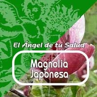 El Angel de tu Salud - MAGNOLIA JAPONESA **** - EL ÁNGEL DE TU SALUD -  Podcast en iVoox