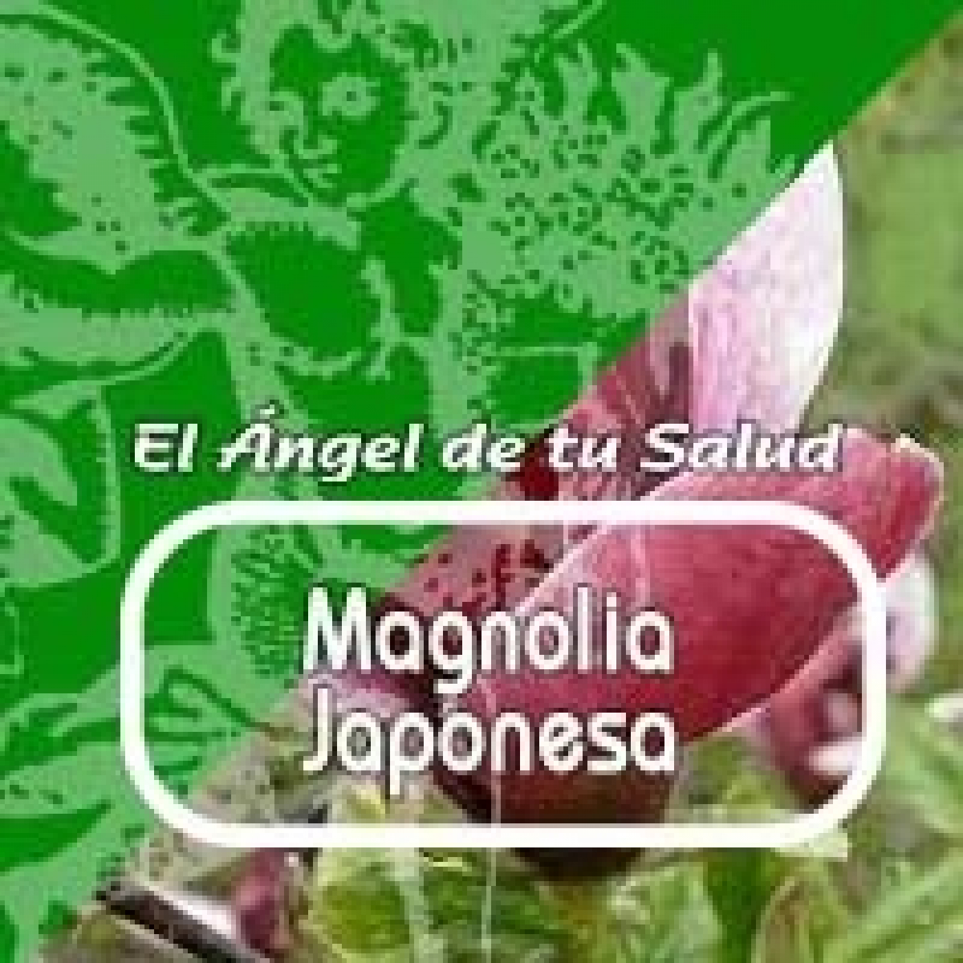 El Angel de tu Salud - MAGNOLIA JAPONESA **** episode artwork