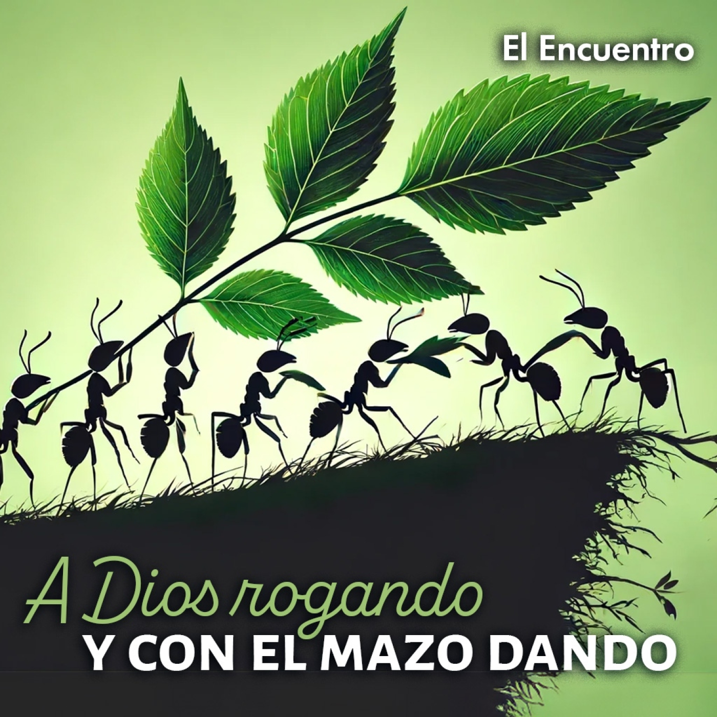 El Encuentro