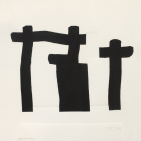 embed image
