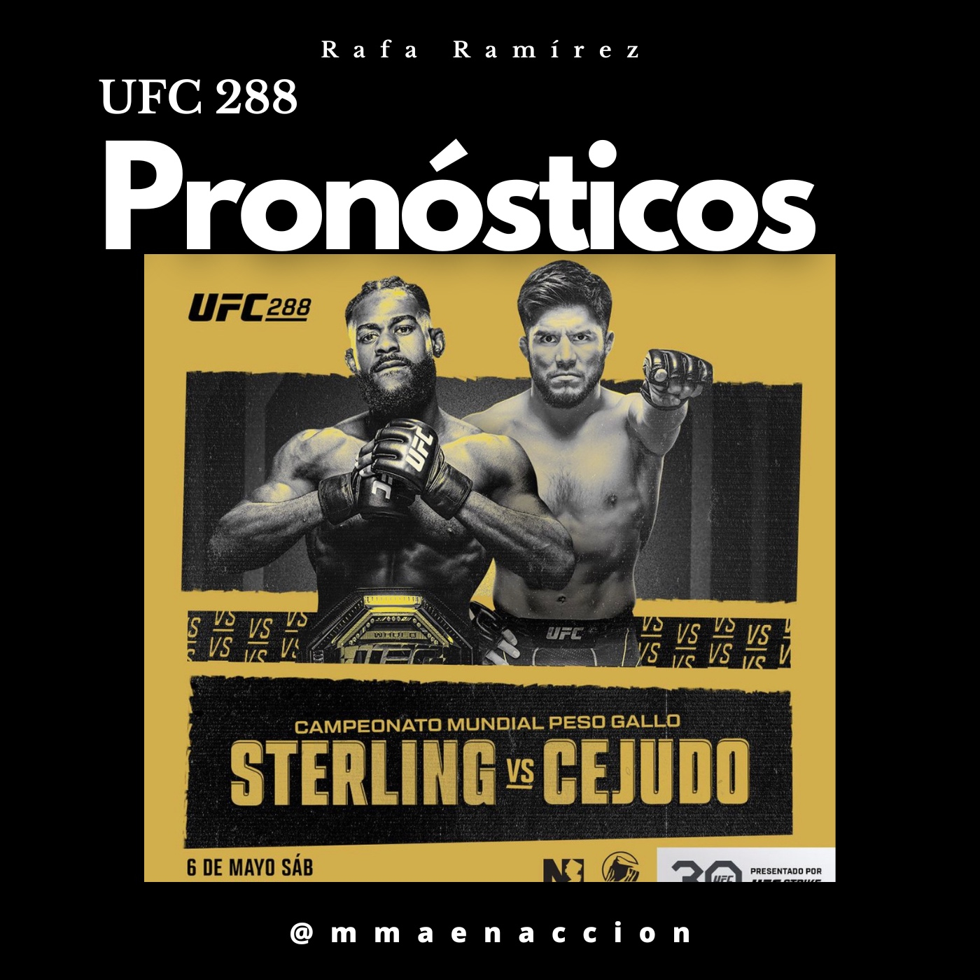 MMA en acción