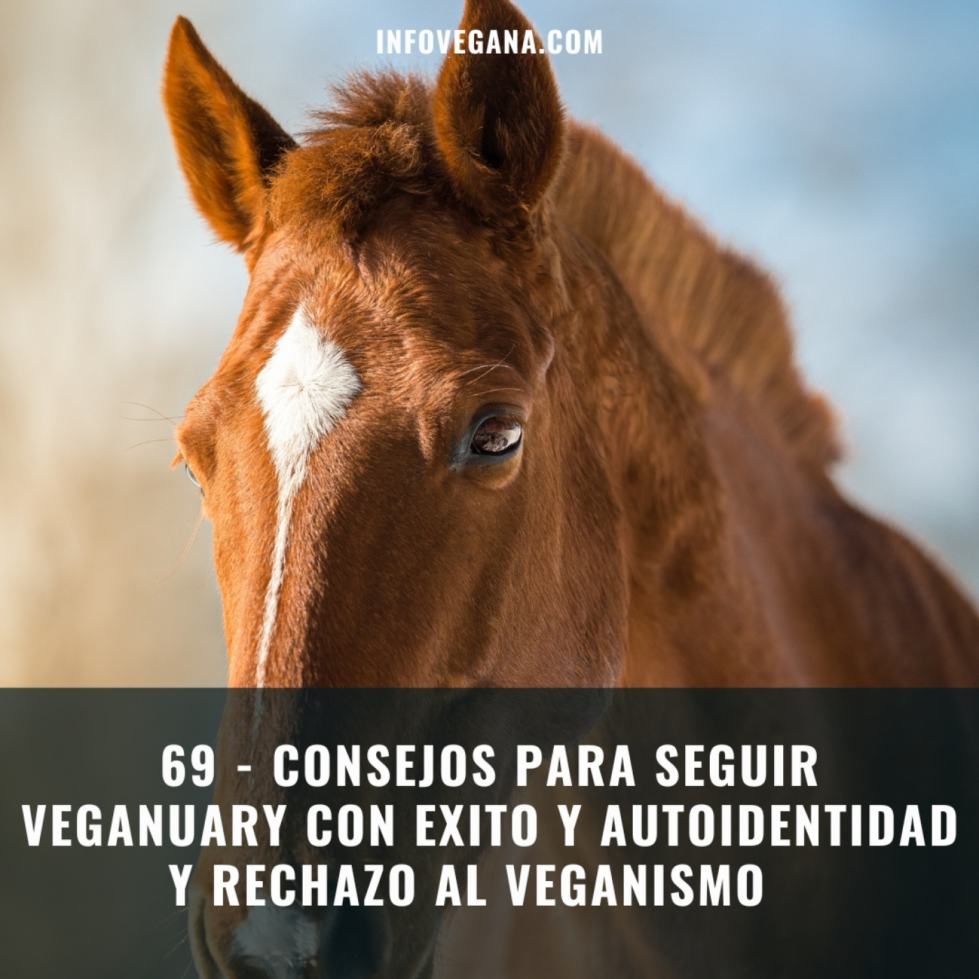 Infovegana, podcast de veganismo y sostenibilidad