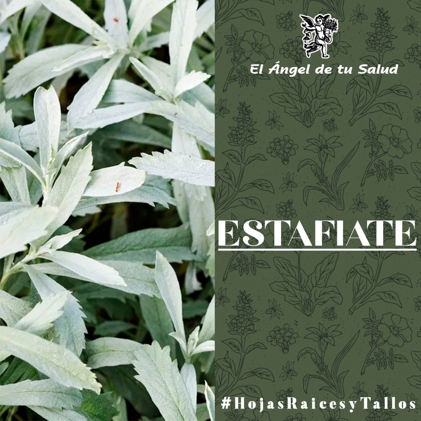 El Ángel de tu Salud - Estafiate** episode artwork