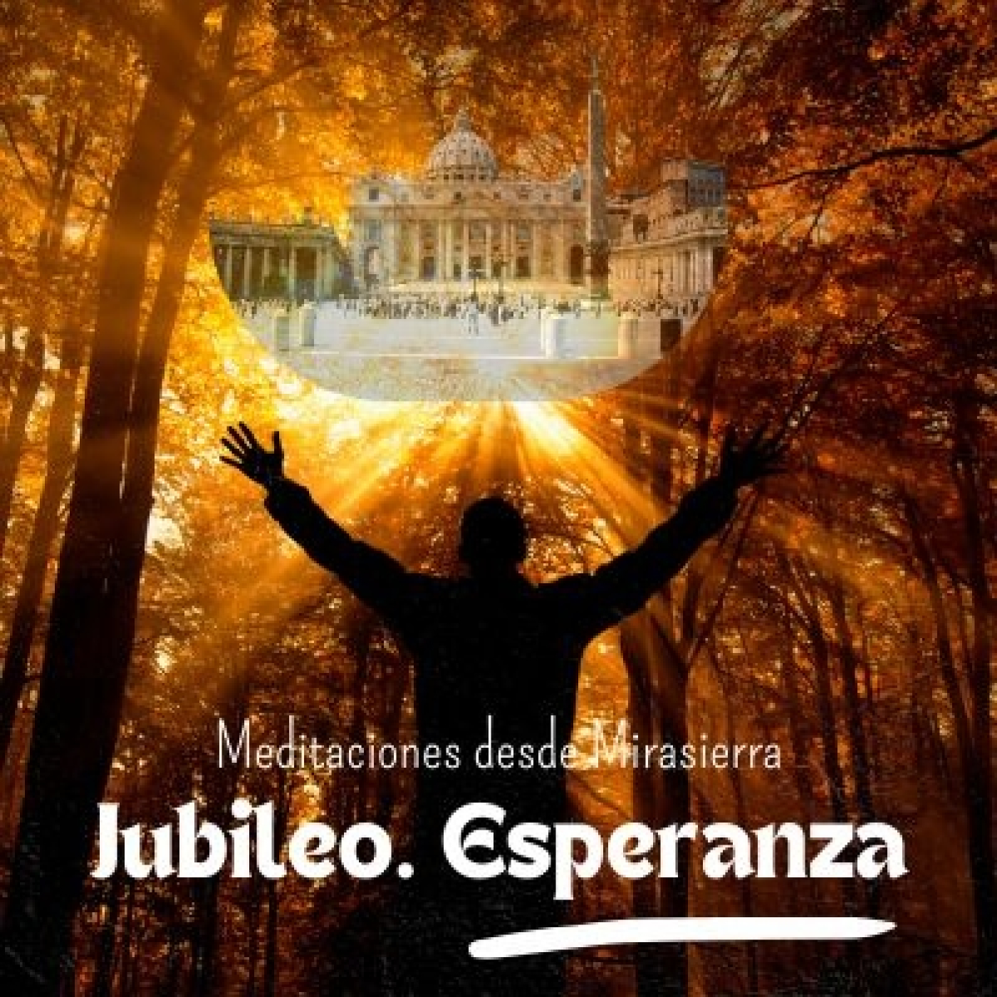 Meditaciones desde Mirasierra