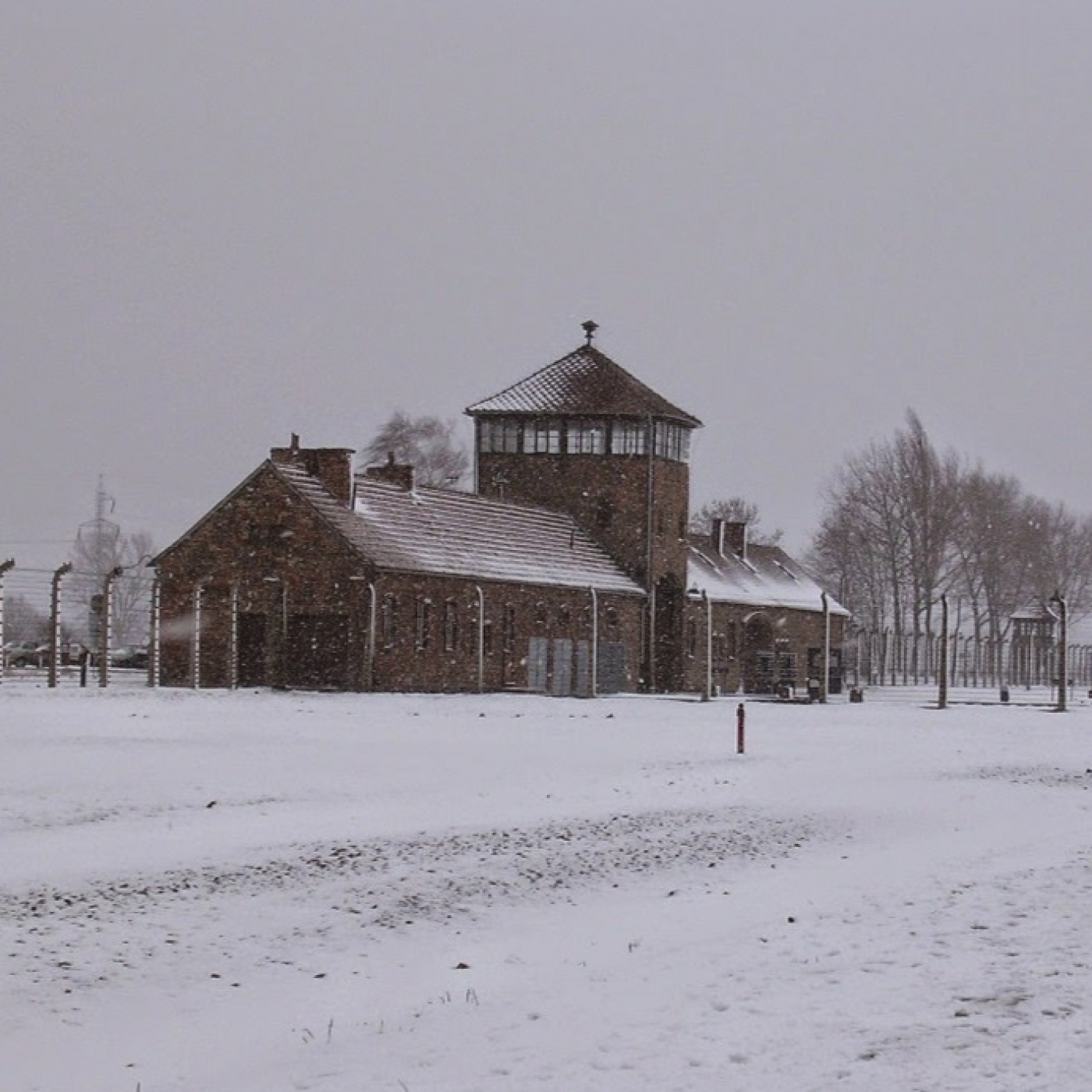 La resistencia en Auschwitz - Episodio exclusivo para mecenas episode artwork