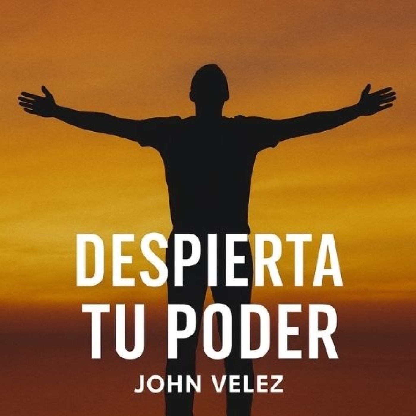 Cambia tu diálogo interno, cambia tu destino episode artwork