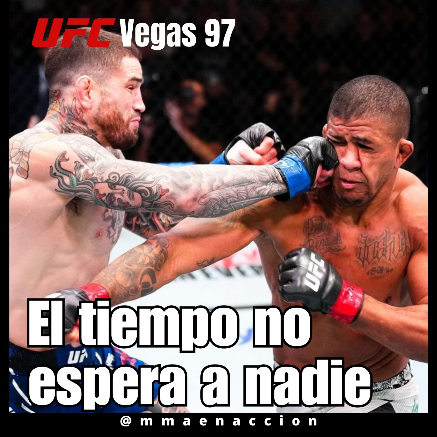 MMA en acción