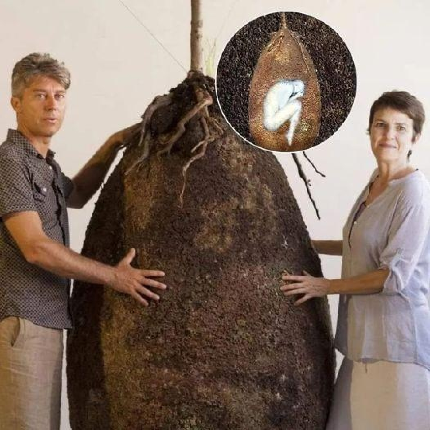 231 - Show and tell "Kinder Sorpresa"