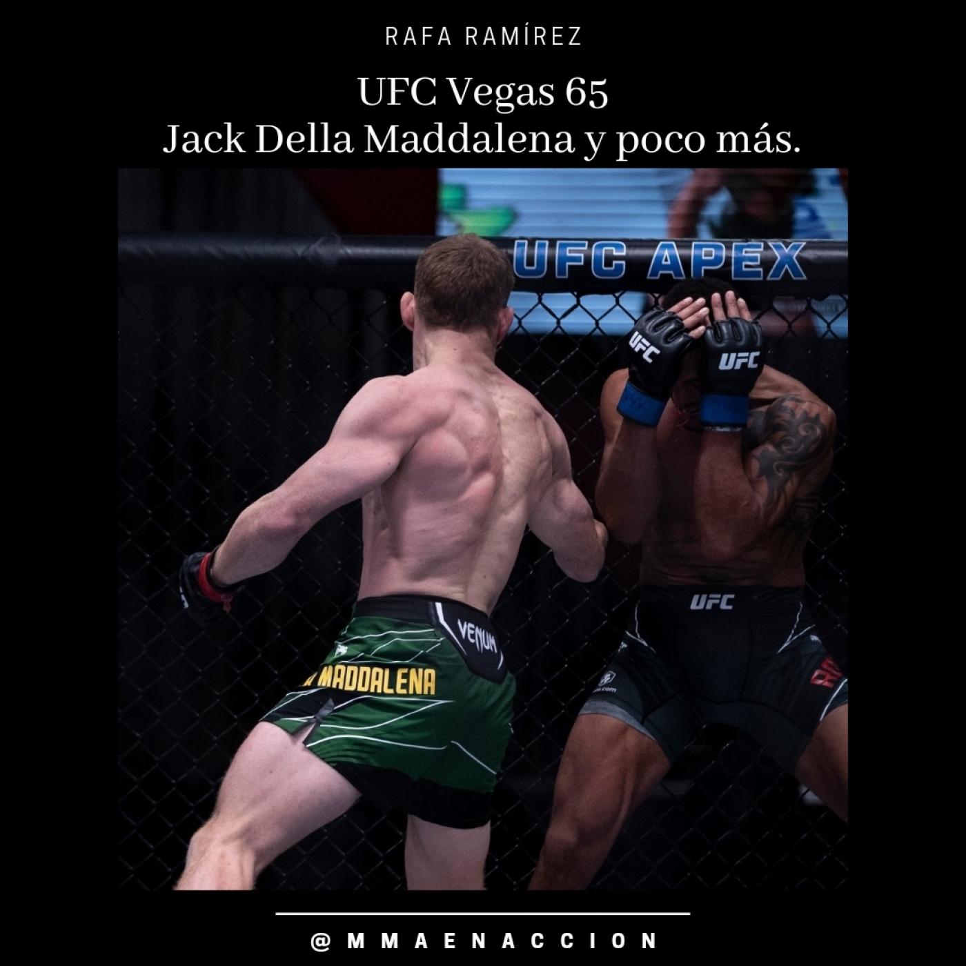 MMA en acción