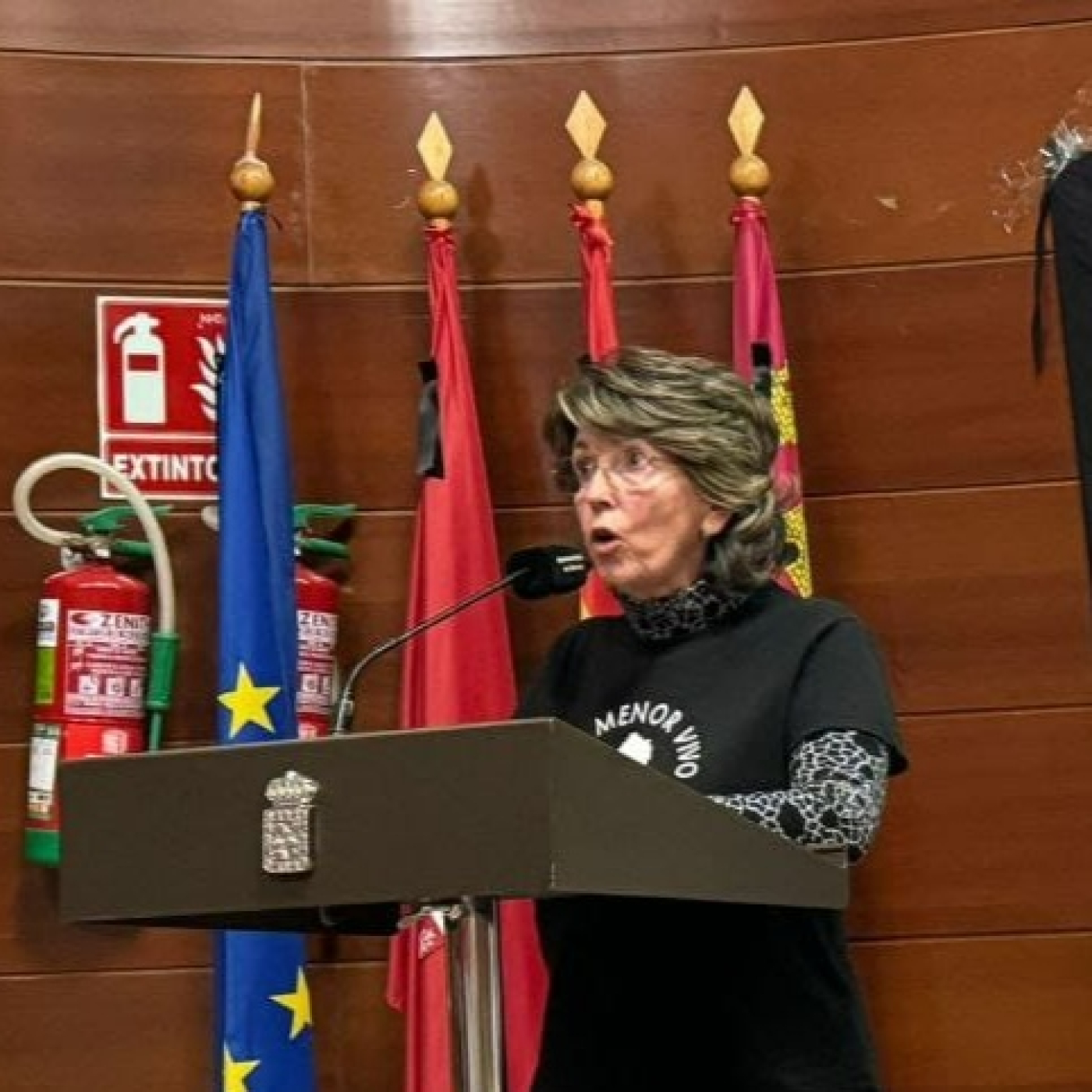 Entrevista a Julia Albaladejo, presidenta de Alianza Mar Menor (AMARME) episode artwork