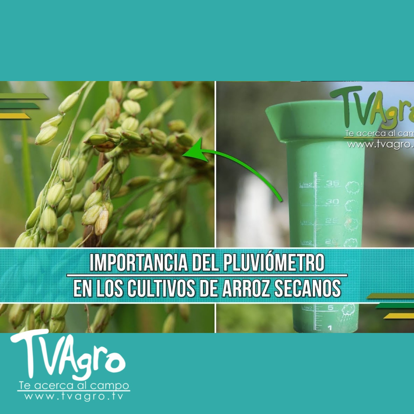 TV AGRO