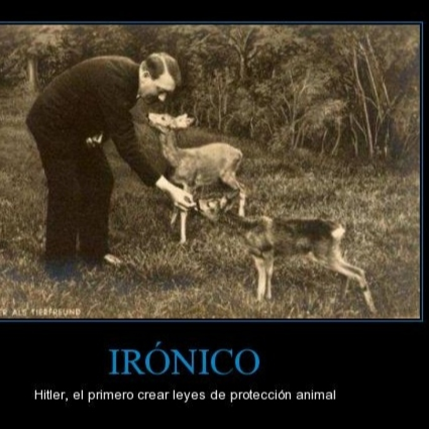 DE ECOLOGISMO A DARWINISMO SOCIAL episode artwork