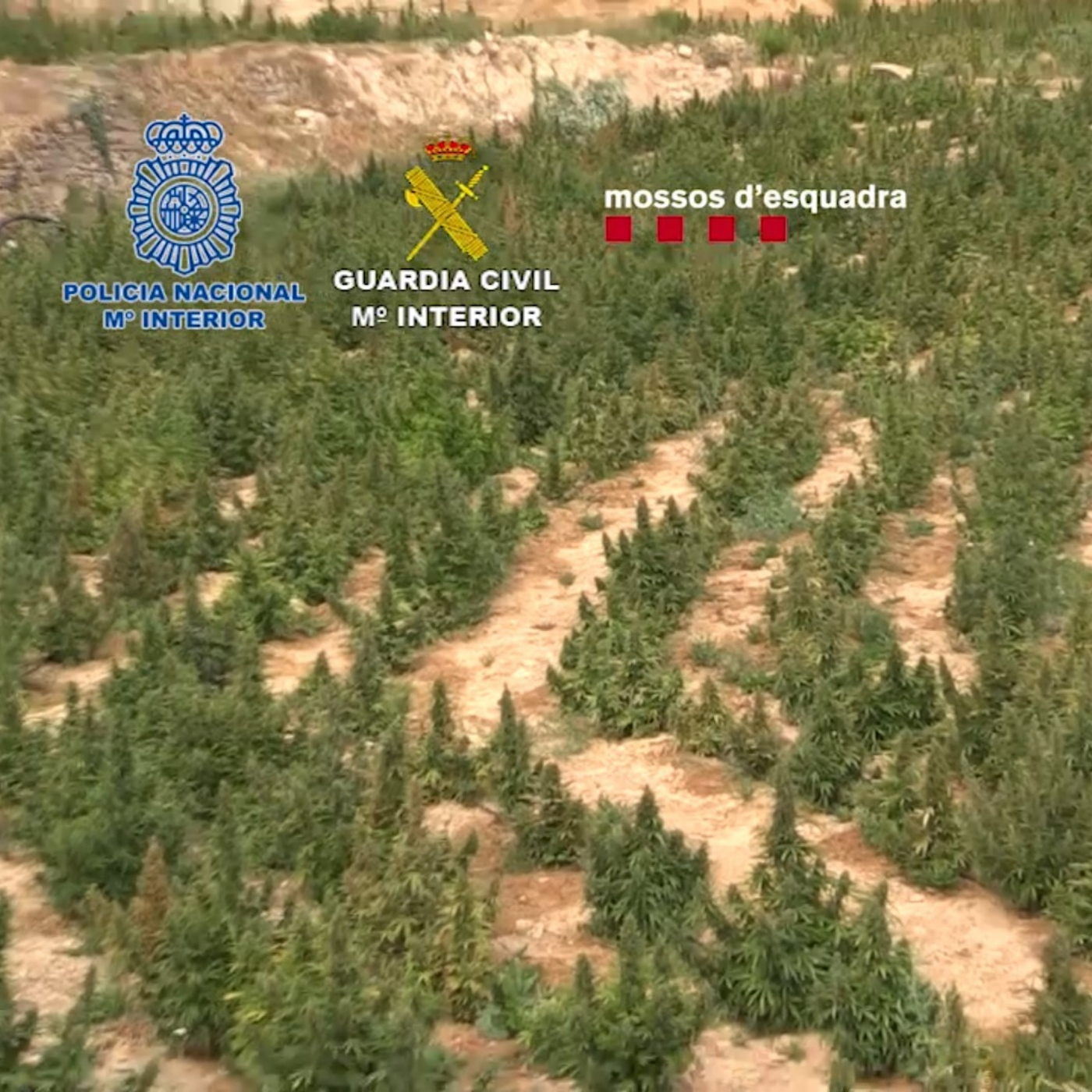 H14 TERRES DE L'EBRE 18-11-2022 episode artwork