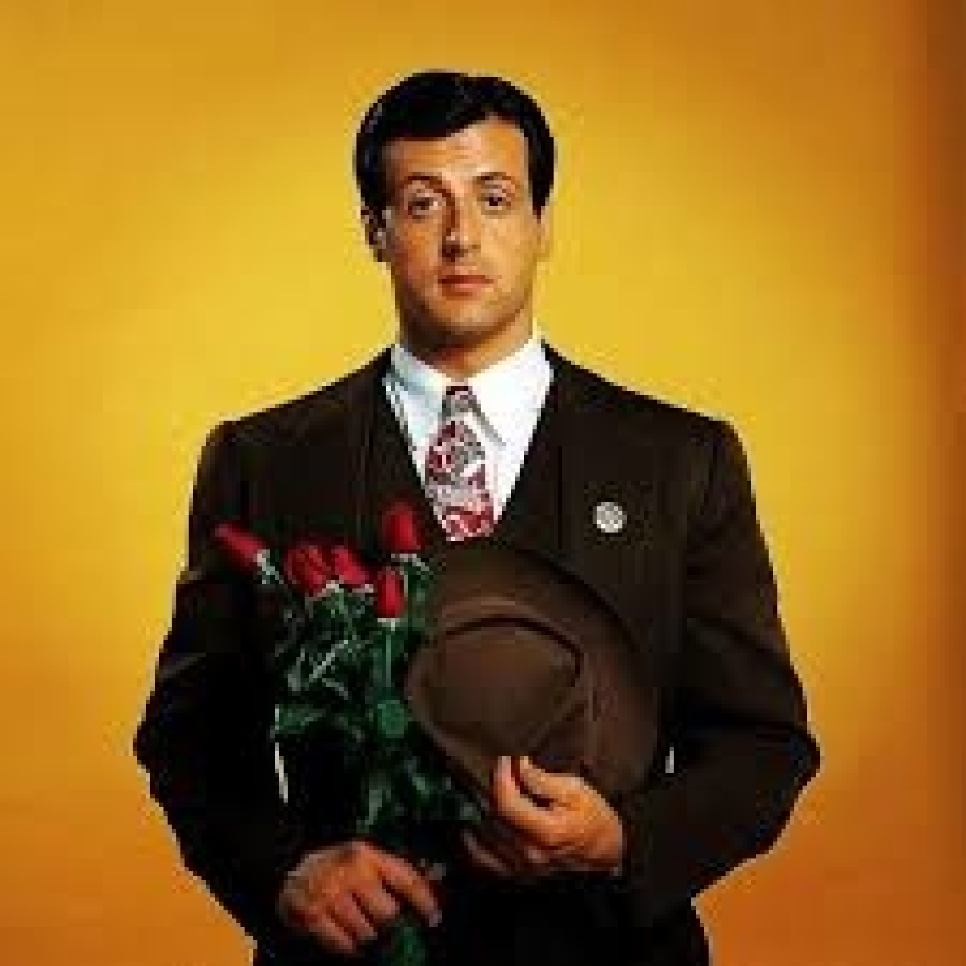 Stallone de mi vida