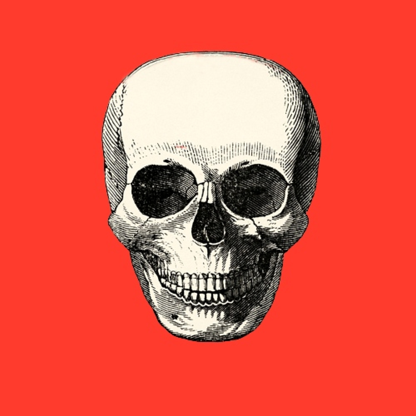 BRUTALISTAS
