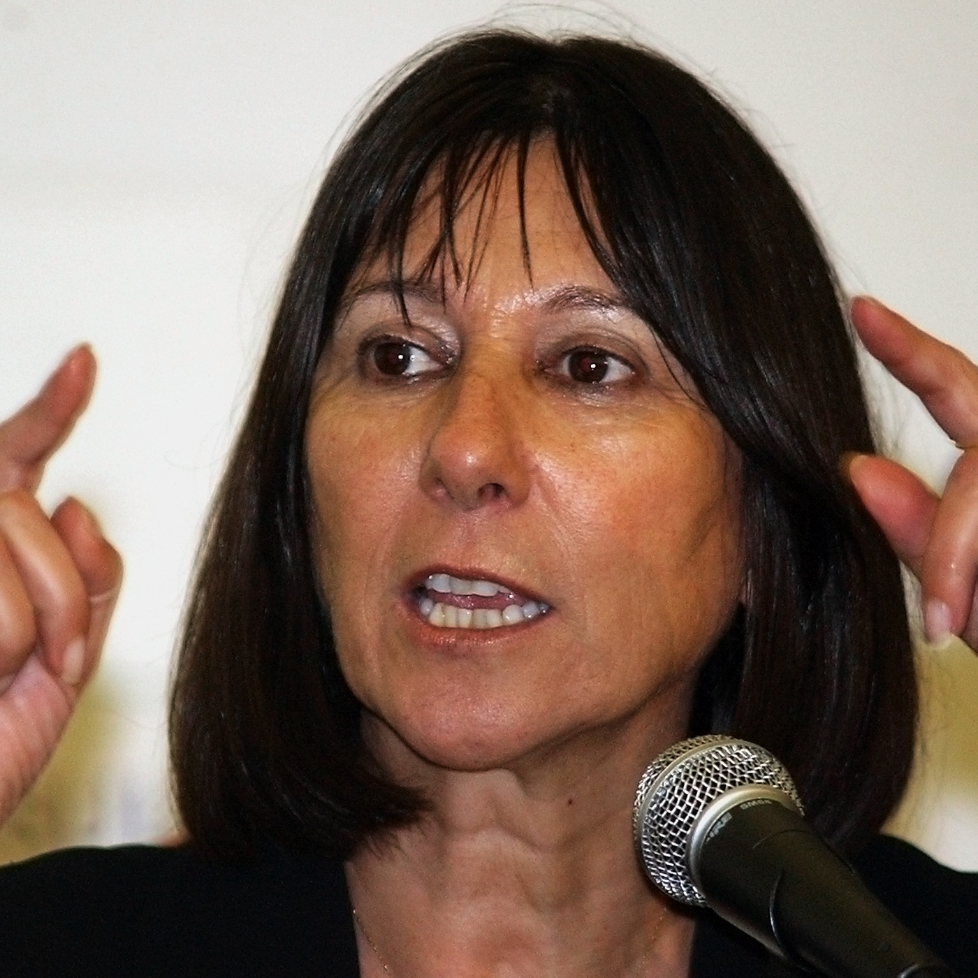 Felisa Miceli Ex ministra de Economía @rosca_casta 10-02-2026