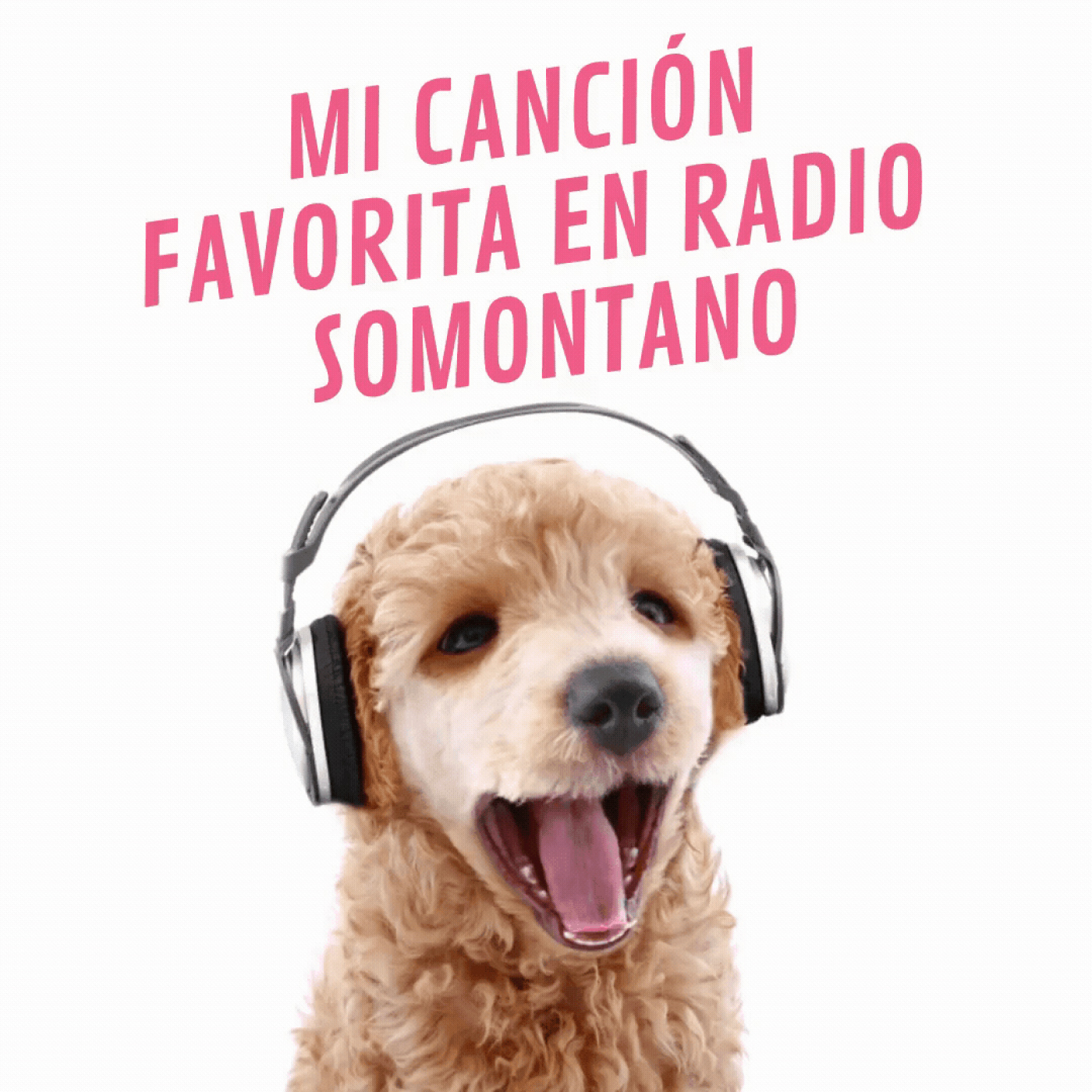 Buenos Días Mundo 17-10-2024 episode artwork