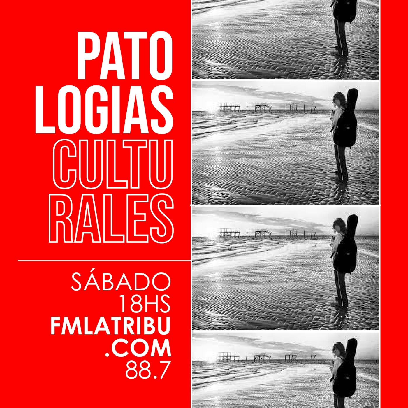Patologías Culturales
