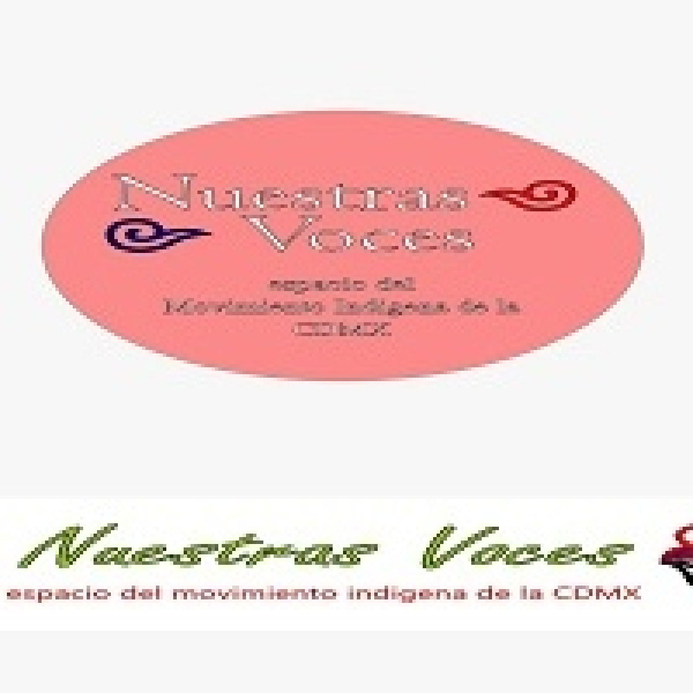 Nuestras Voces 06042026 p 393