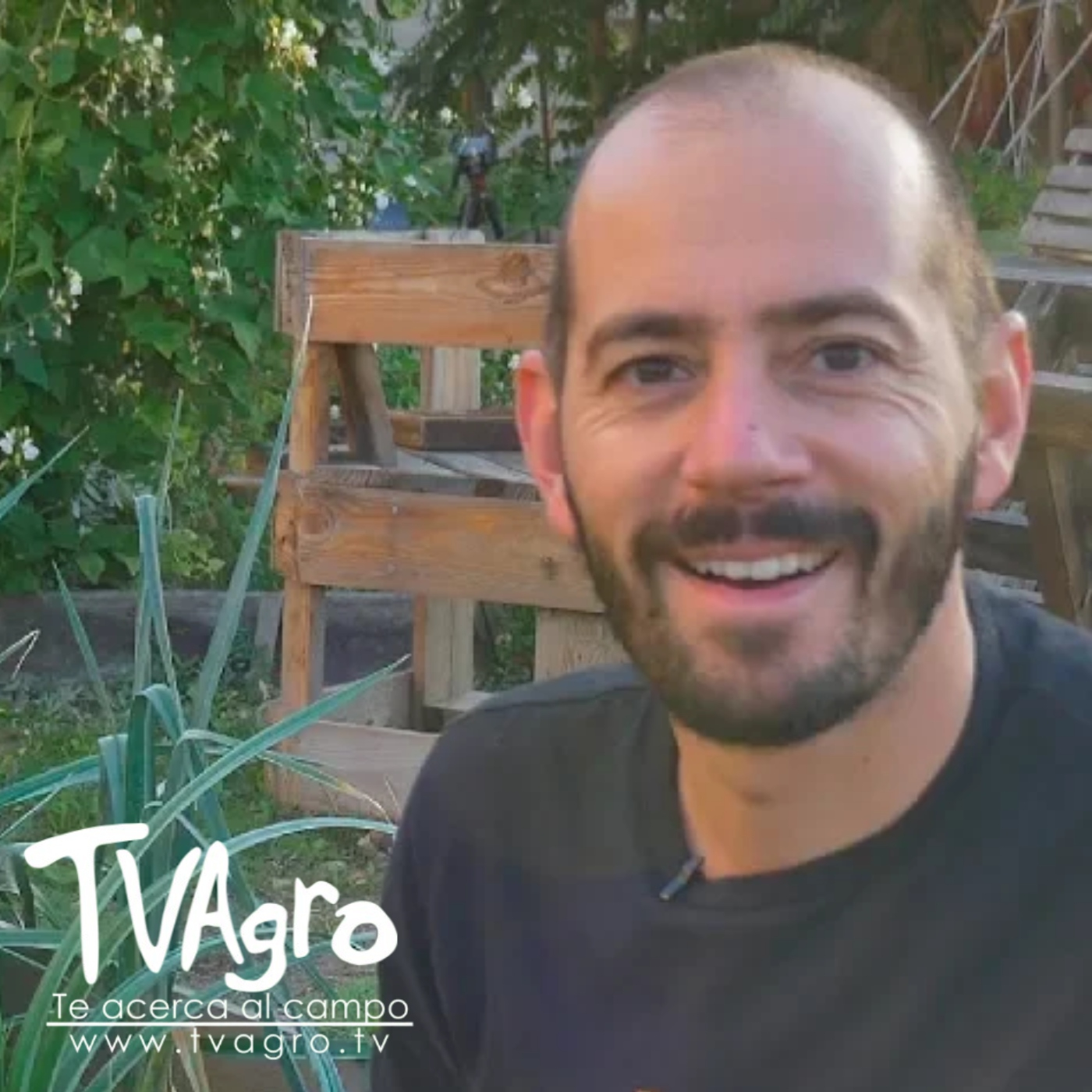 TV AGRO
