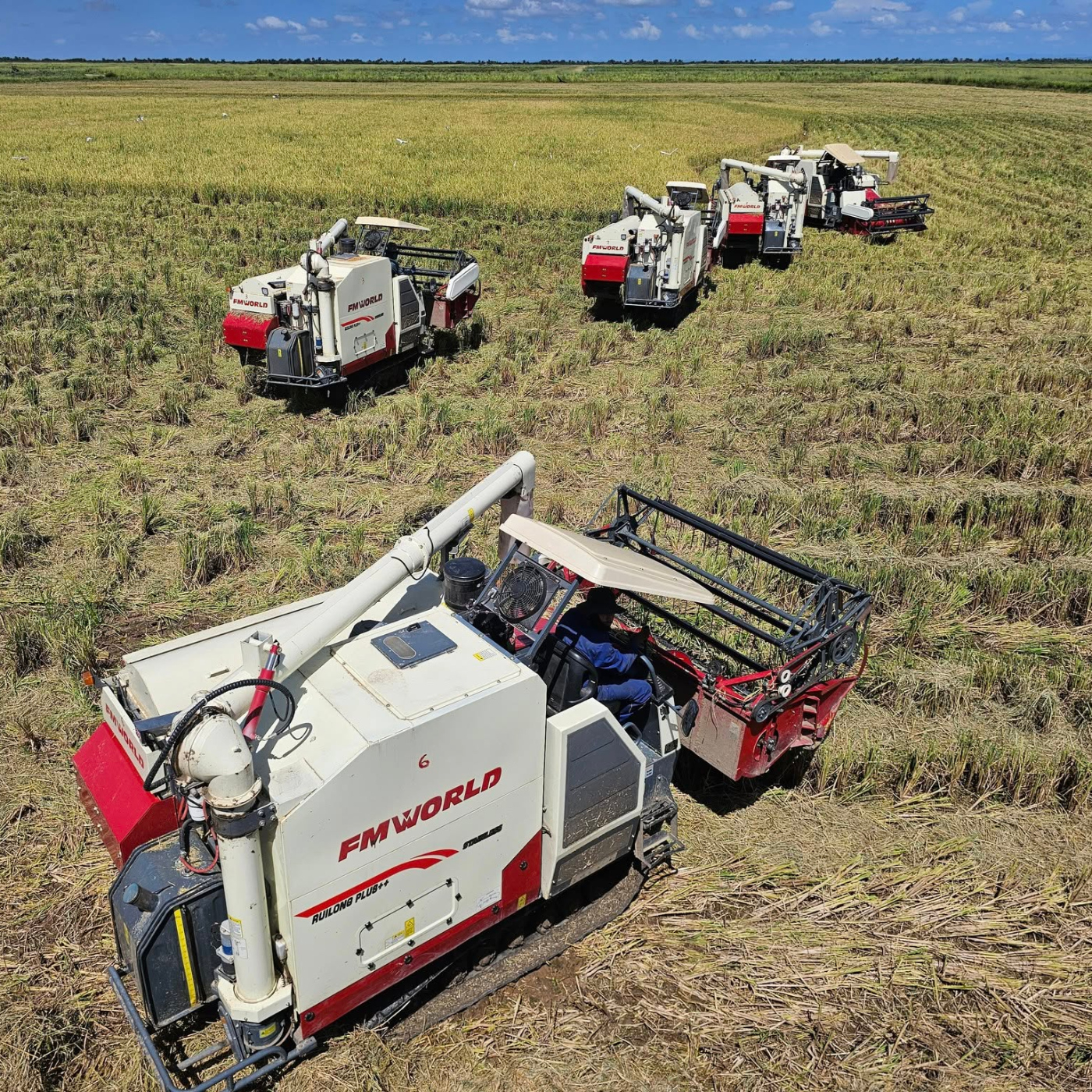 Producción arrocera Viet Nam-Cuba apuesta por la soberanía alimentaria.