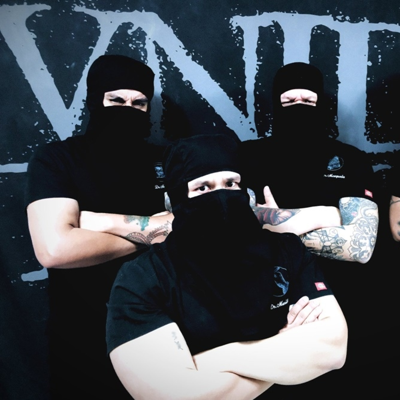 Furtivos