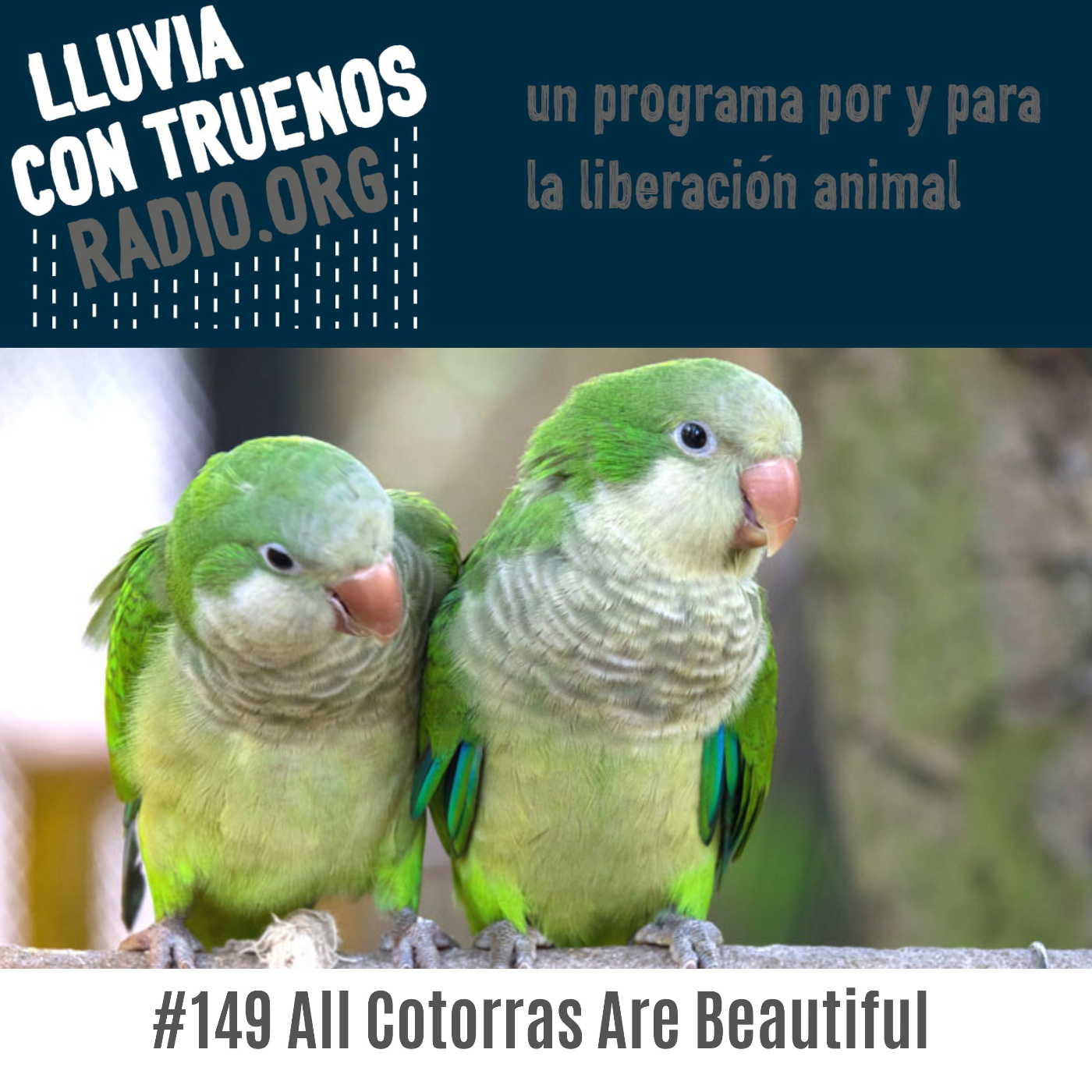 #149 All Cotorras Are Beautiful episode artwork