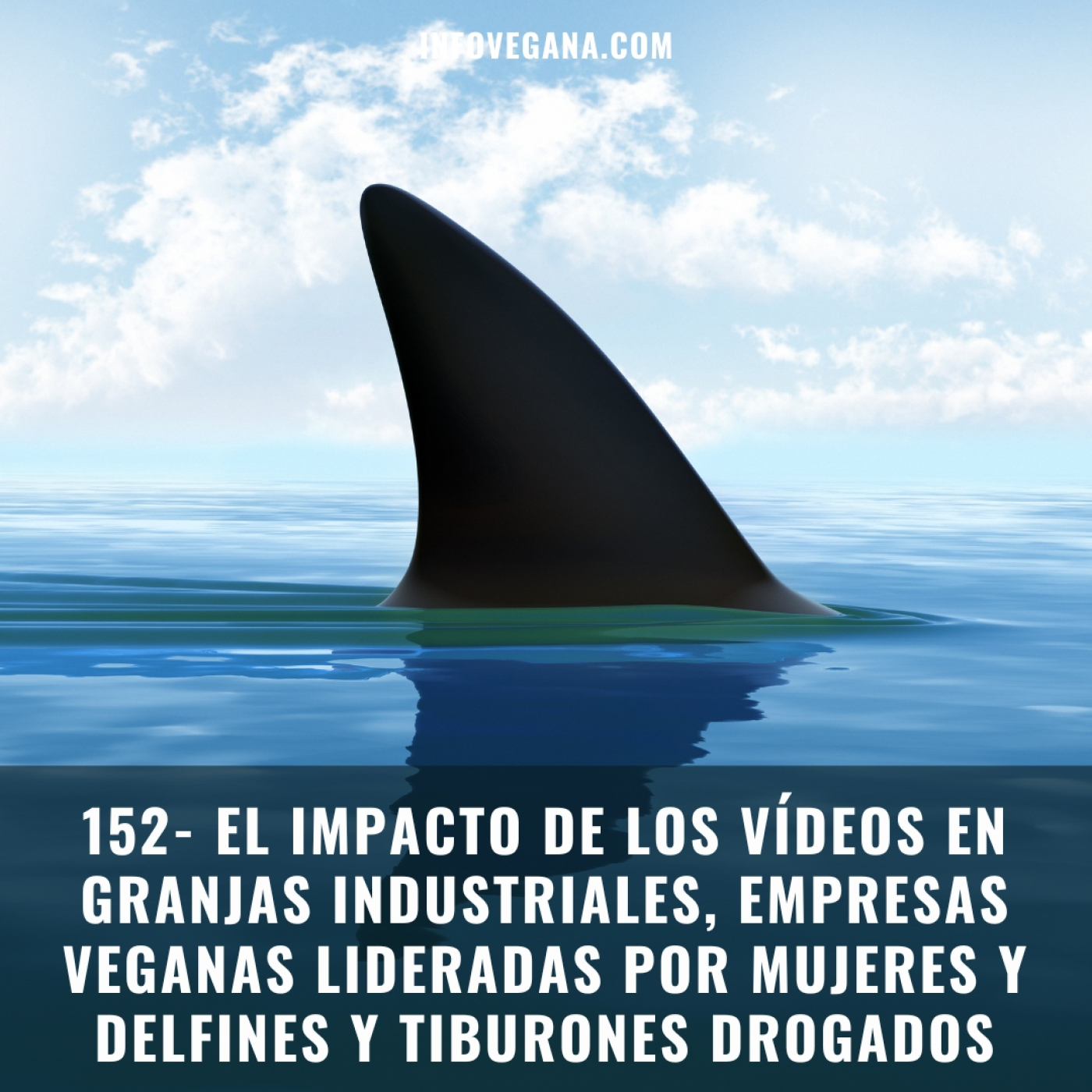 152-EL IMPACTO DE VÍDEOS EN GRANJAS INDUSTRIALES, EMPRESAS VEGANAS LIDERADAS POR MUJERES Y DELFINES DROGADOS | Infovegan