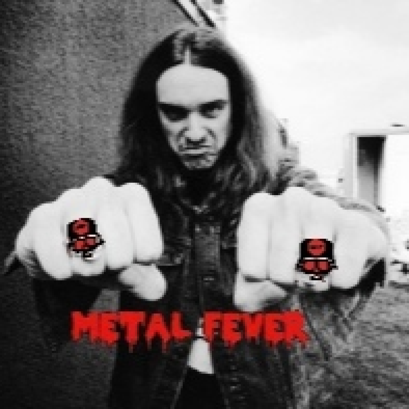 METAL FEVER