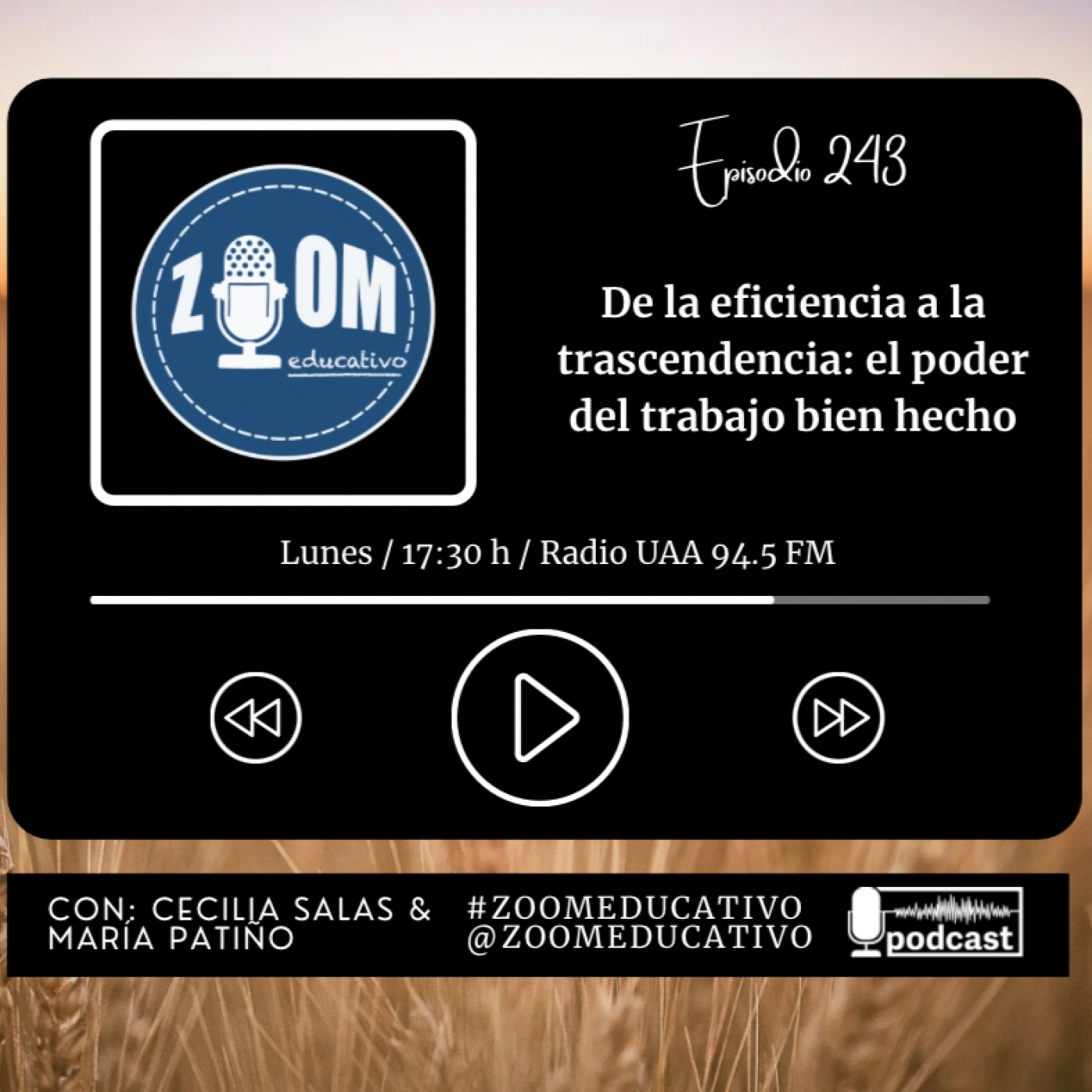 Zoom Educativo