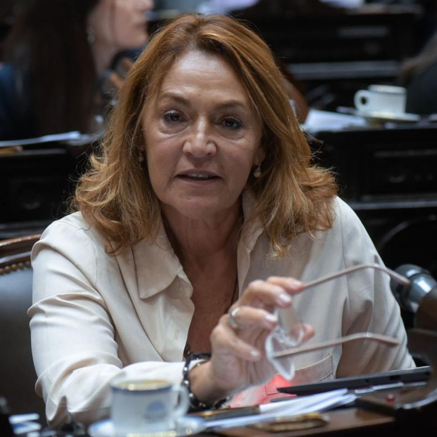 Marcela Campagnoli @M_Campagnoli (Diputada Nacional Coalición Cívica ARI-Cambiemos) La Picadita de los Sábados