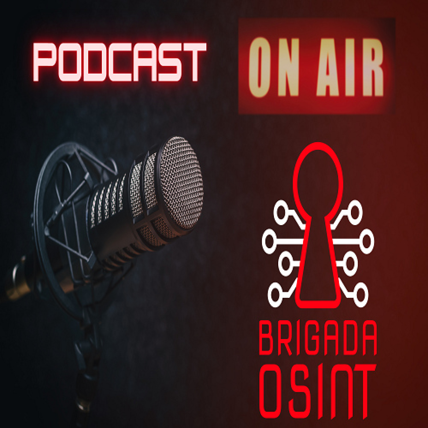 Brigada Osint