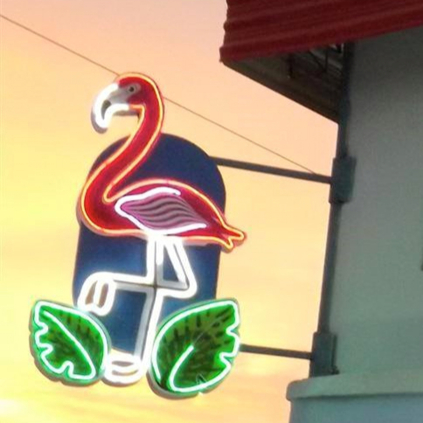 Centro nocturno El Flamingo de Florida operado por pequeña empresa episode artwork