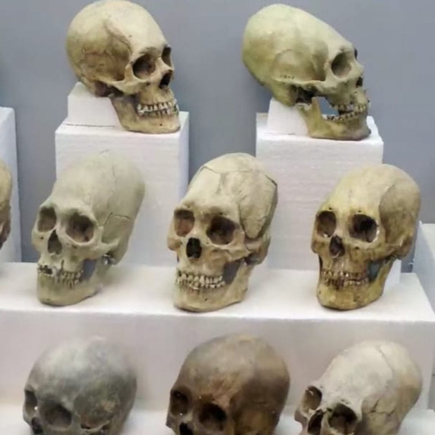 Alienígenas T18: Encuentros en nuestro espacio aéreo · Los gigantes de Malta