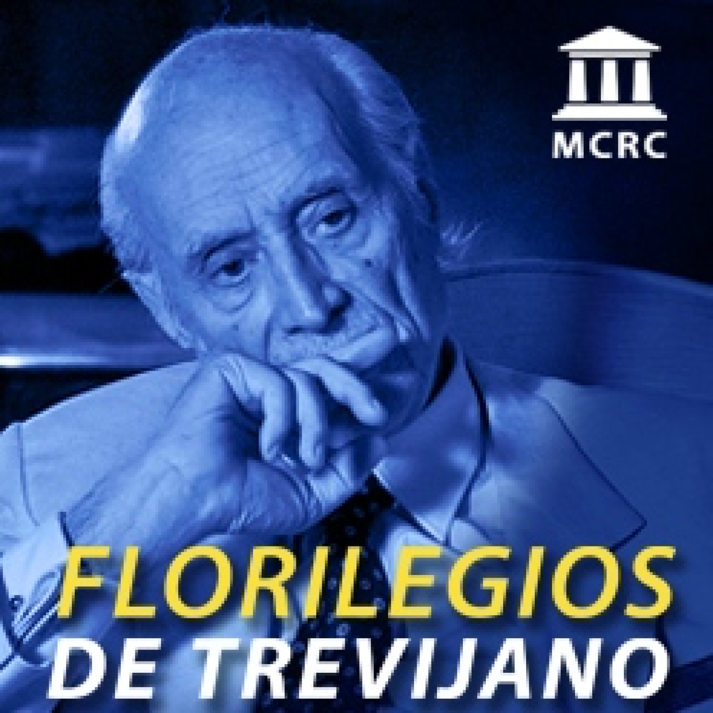 Radio Libertad Constituyente