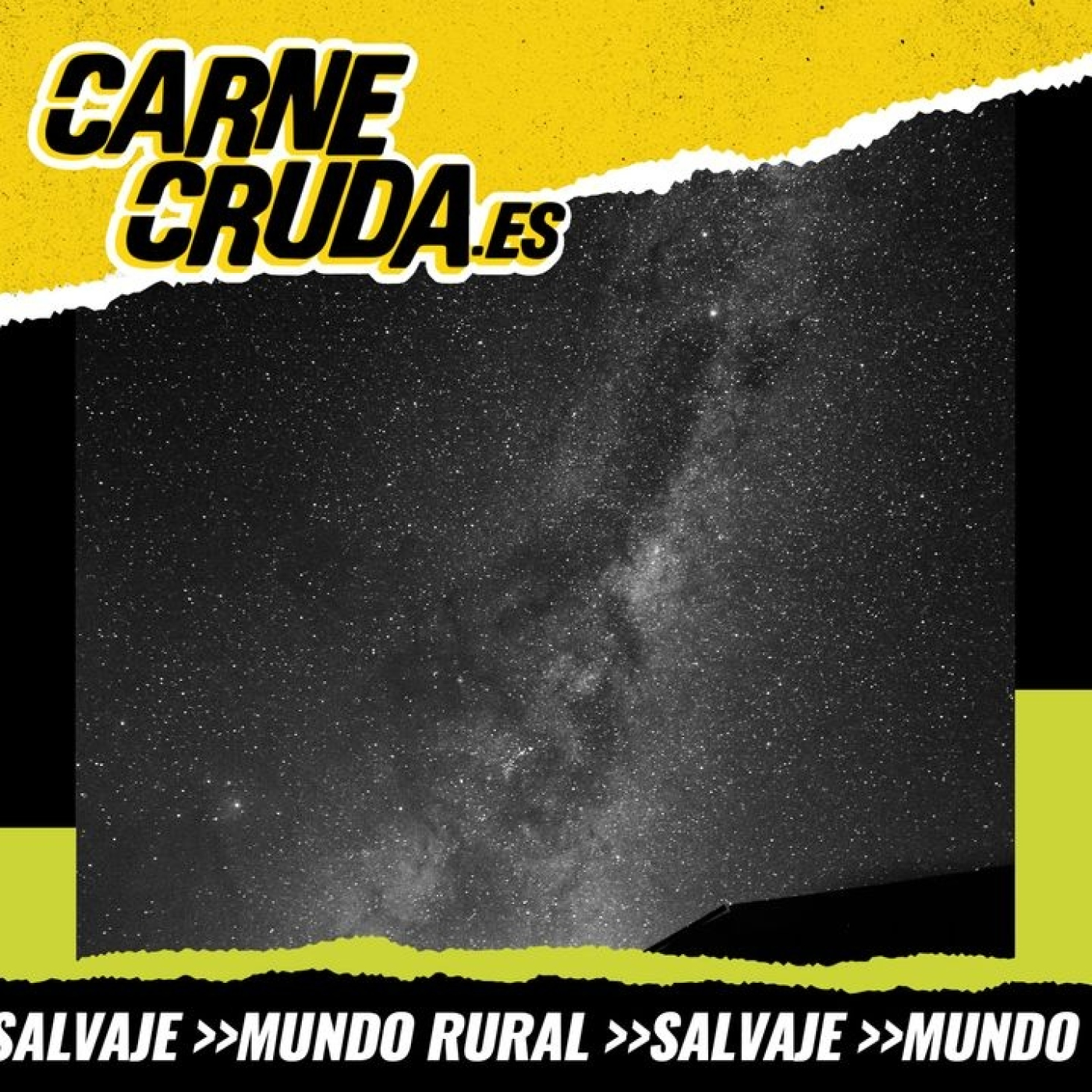 Si perdemos las estrellas: la contaminación lumínica apaga el cielo (SALVAJE - CARNE CRUDA - #1154)