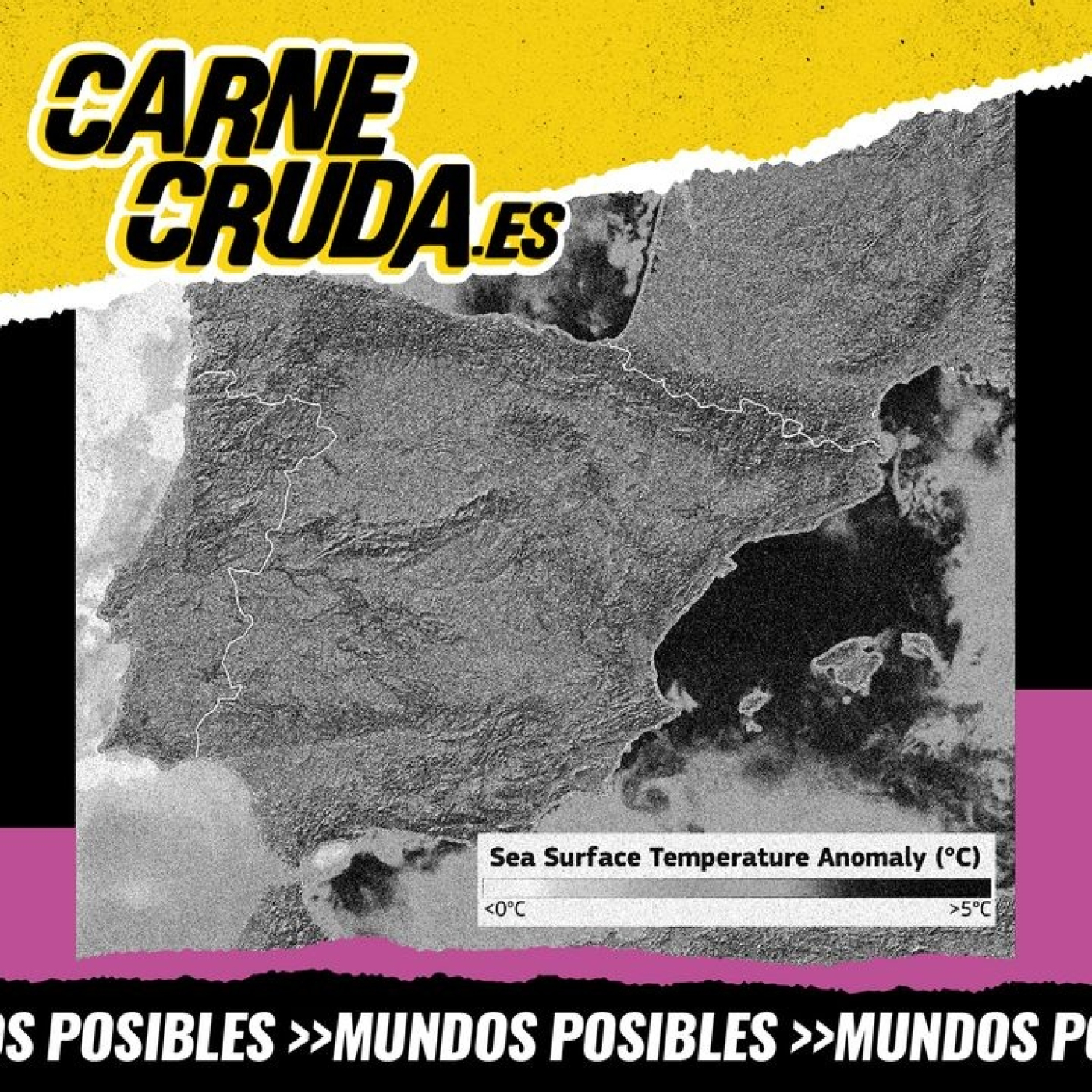 Carne Cruda - PROGRAMAS
