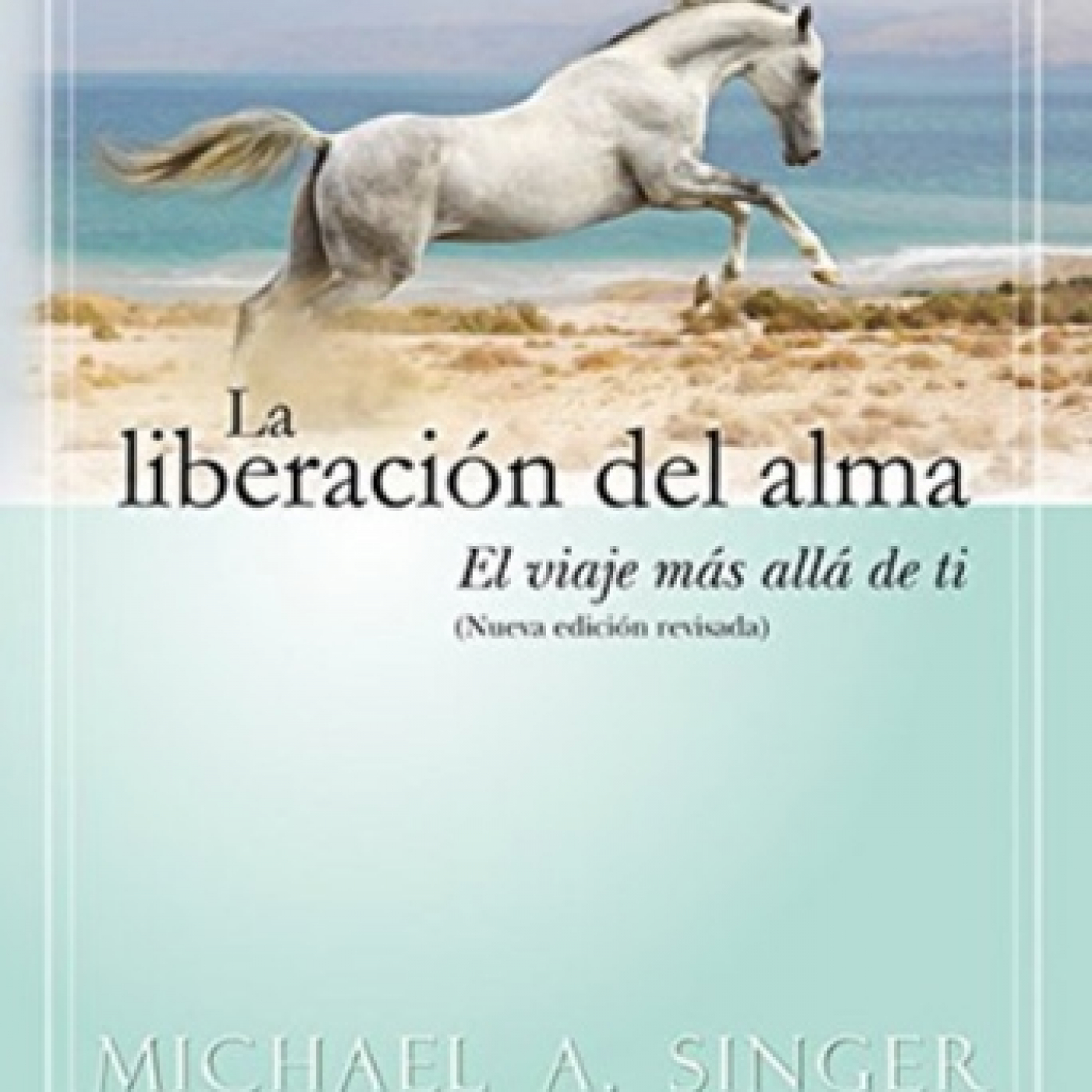 Disfrutando Leyendo