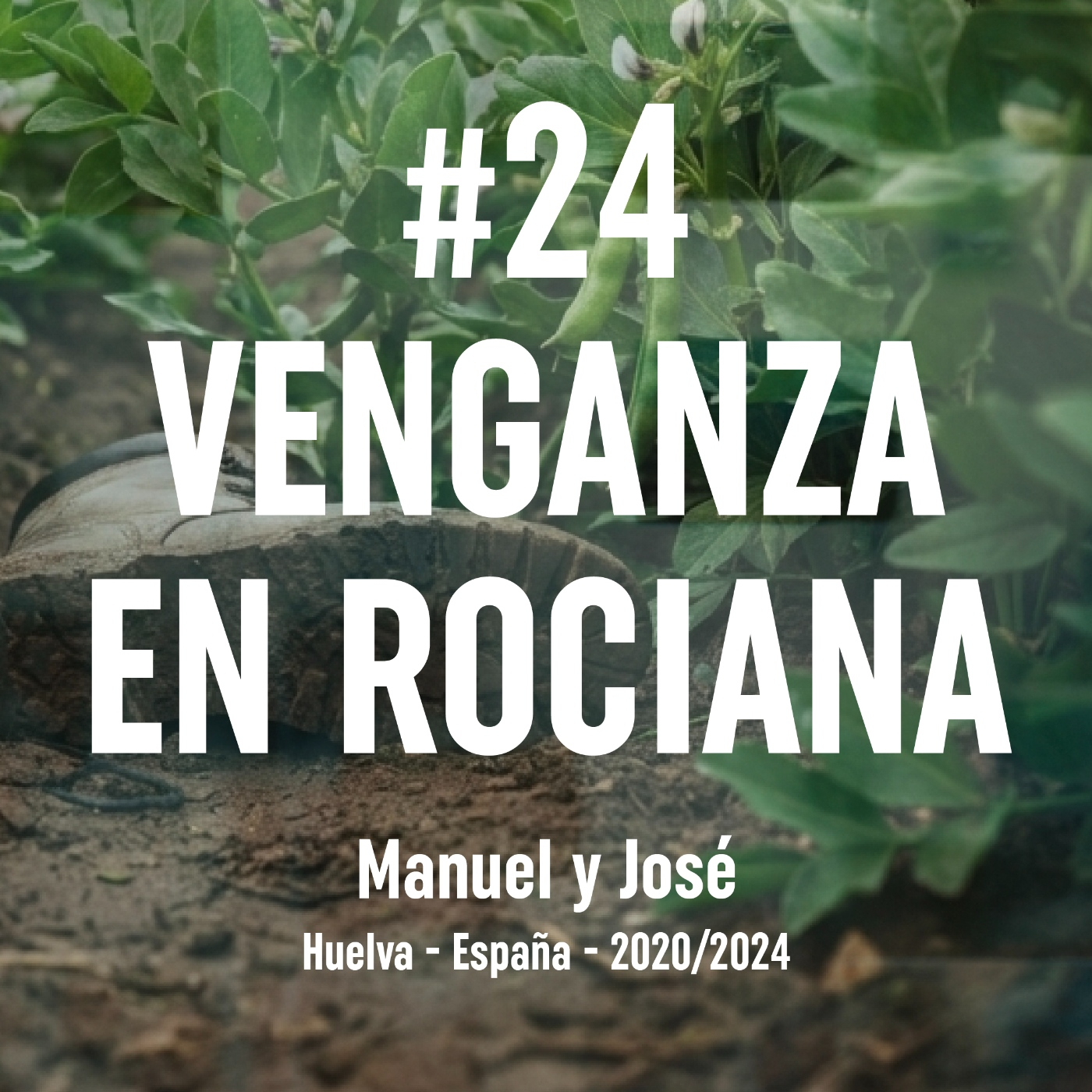 24. Venganza en Rociana (Huelva, 2020 - 2024)