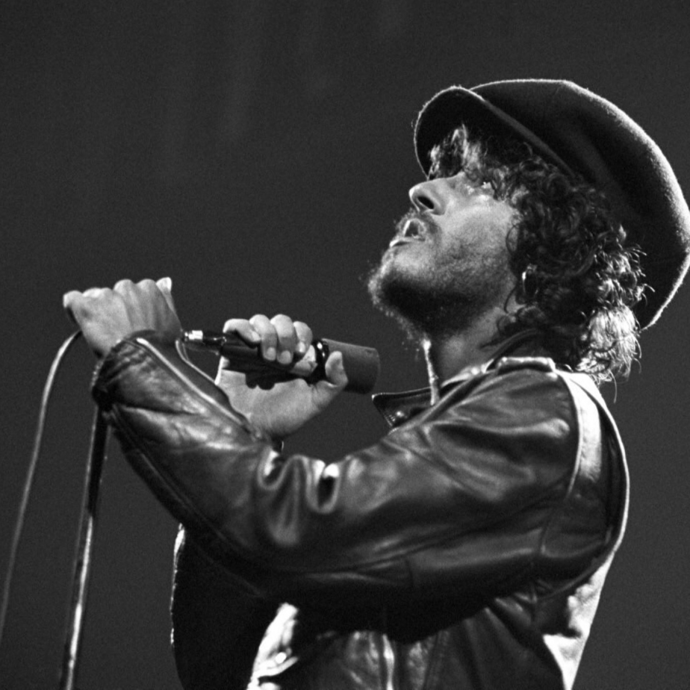 Els Fans de Bruce Springsteen