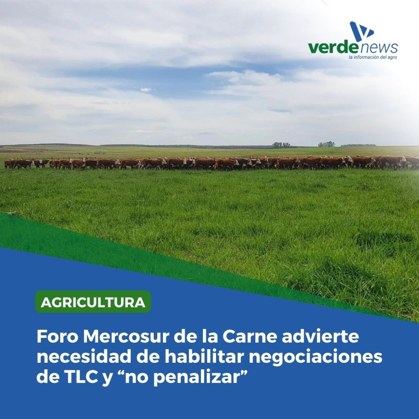 Dardo Chiesa - coordinador de la Mesa de Inst. Promoción de la Carne Vacuna Argentina - 13/09/24 episode artwork