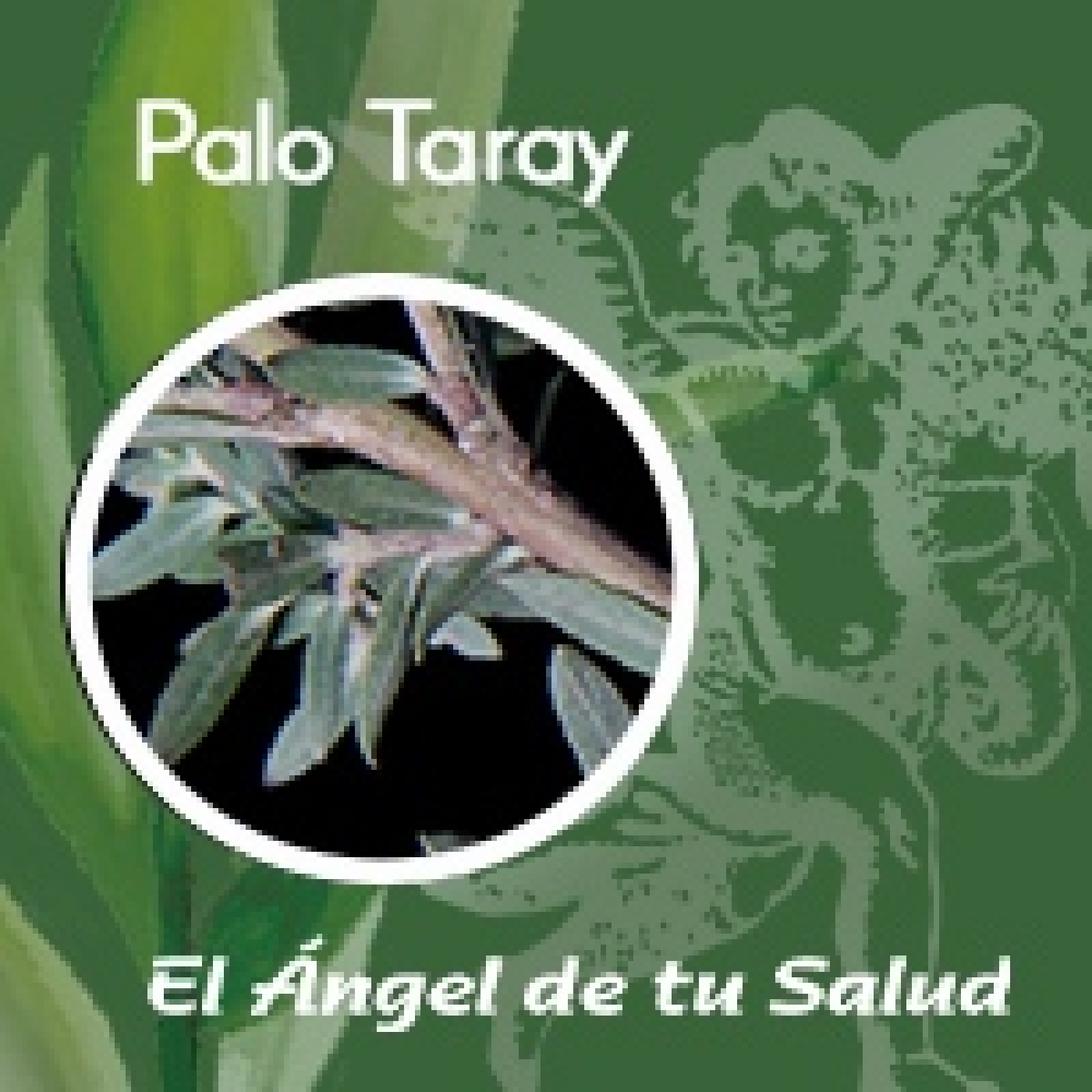 El Ángel de tu Salud - Palo Taray** episode artwork