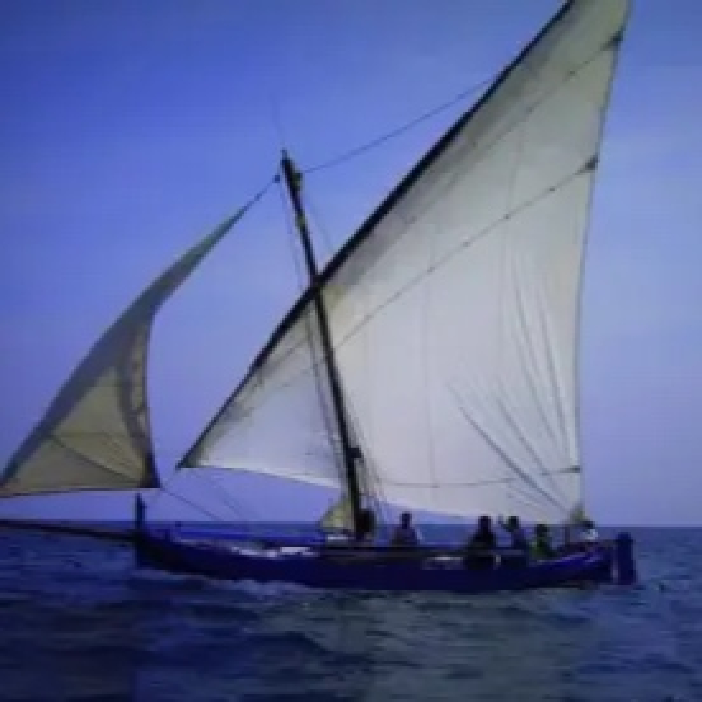 T1x35 Les bruixes marineres (el Rall - Àpunt) episode artwork