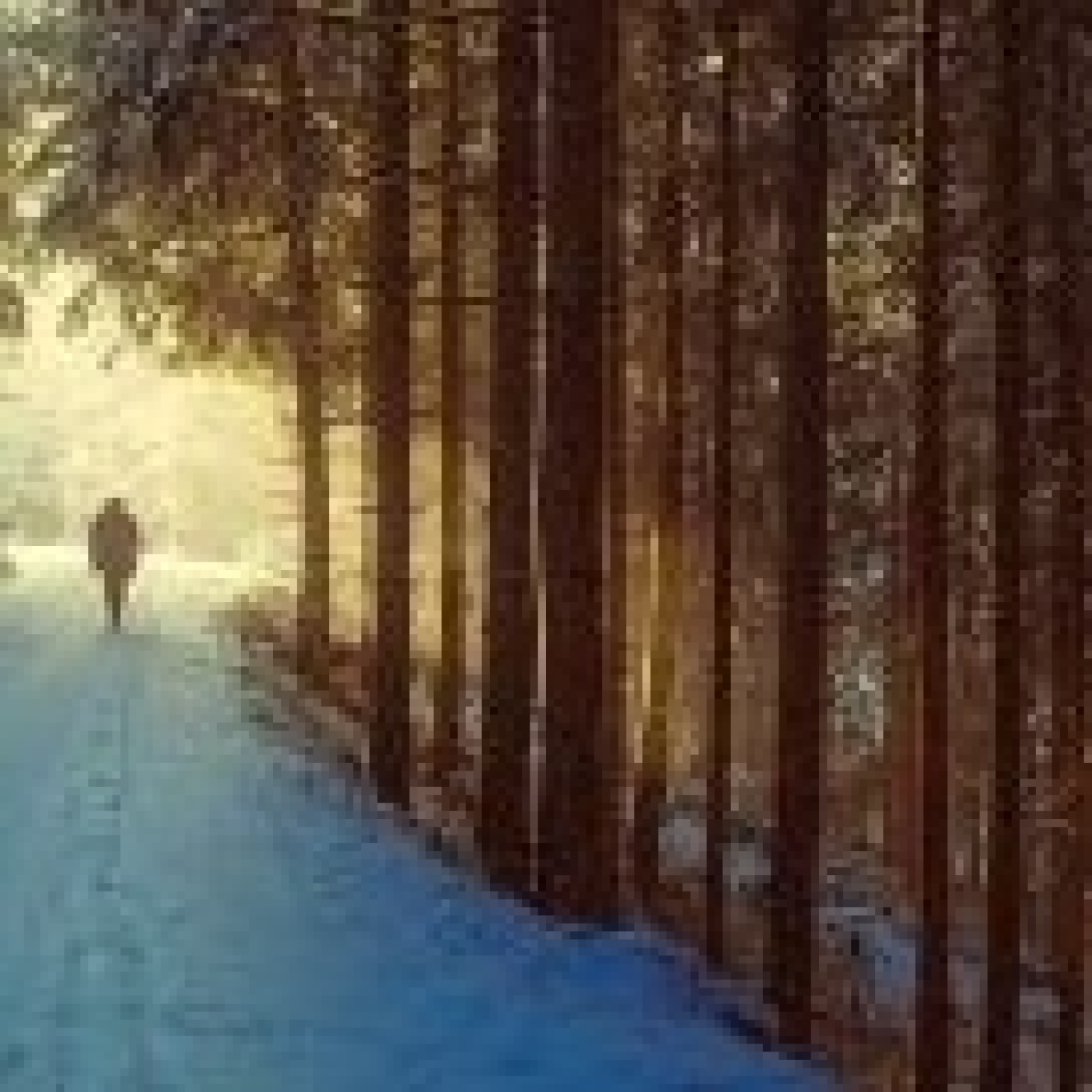Vida, es camino...